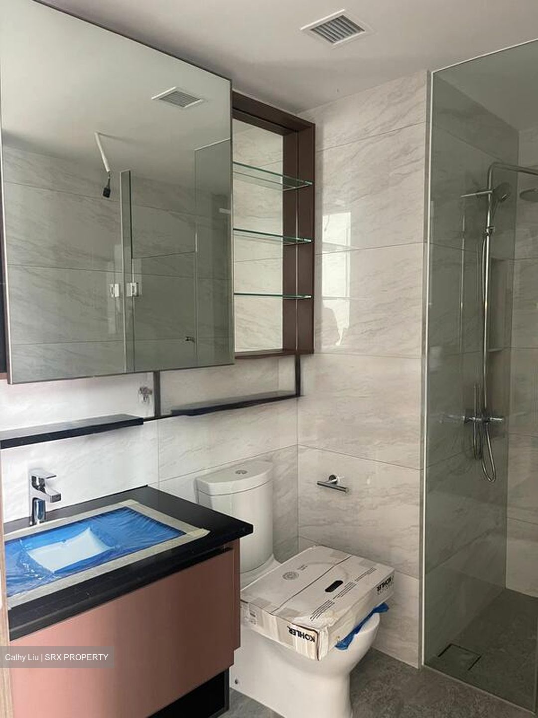 Normanton Park (D5), Apartment #565039841